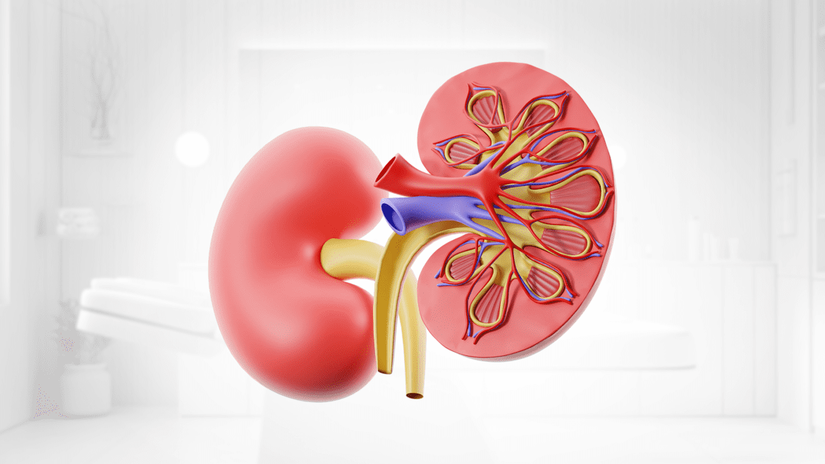 علاج التشوهات الخلقية بالجهاز البولي