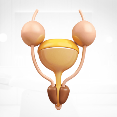 3. علاج التهابات مجرى البول