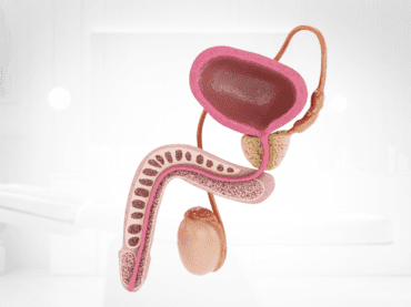 Treatment for premature ejaculation
