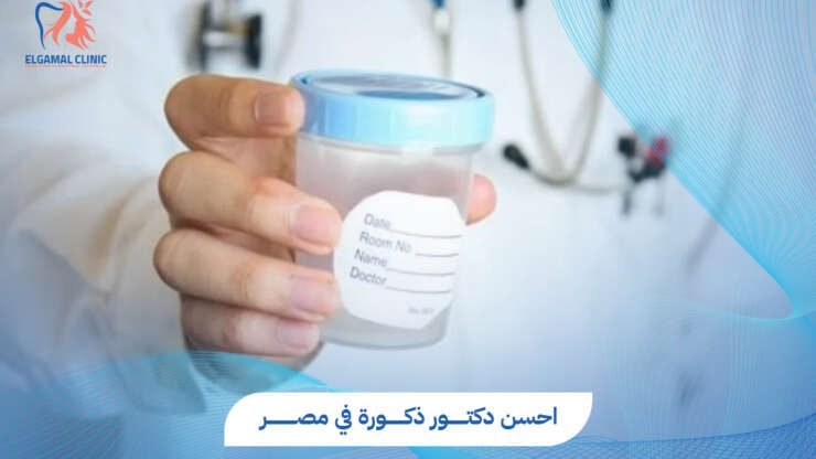 كيف تختار احسن دكتور ذكورة في مصر؟ دليلك لصحة الرجل في 2026