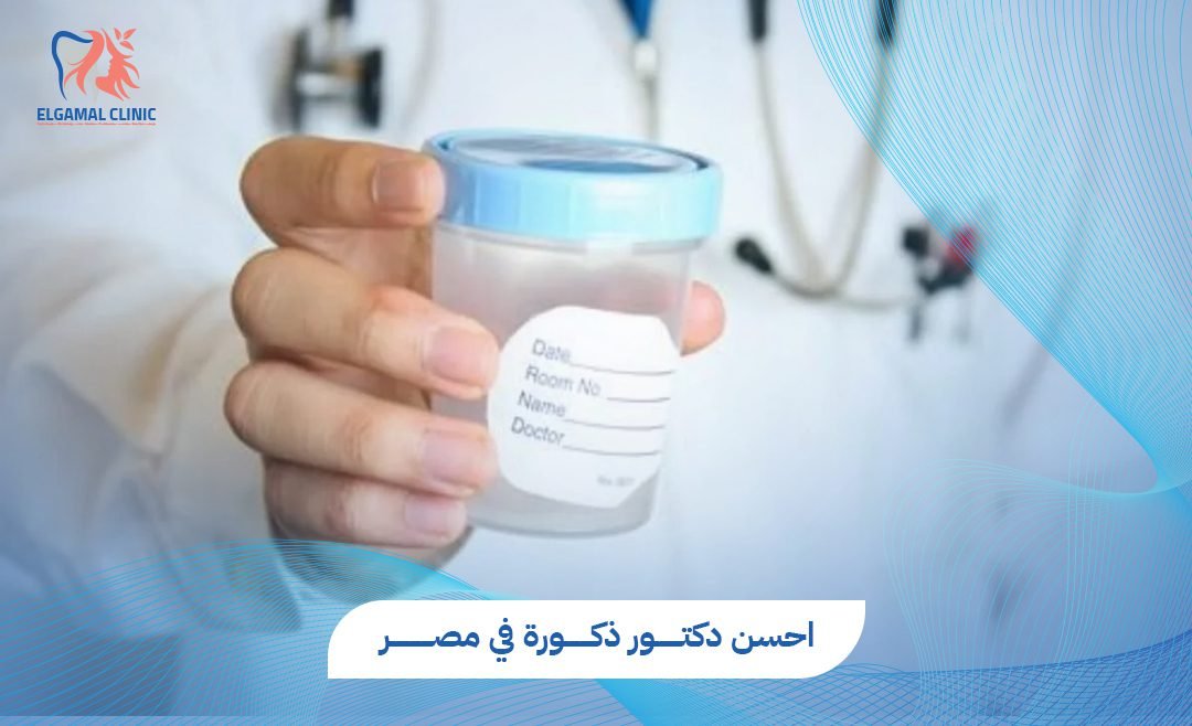كيف تختار احسن دكتور ذكورة في مصر؟ دليلك لصحة الرجل في 2026
