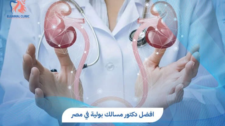 كيف تختار افضل دكتور مسالك بولية في مصر؟ دليلك الشامل للعلاج والتعافي