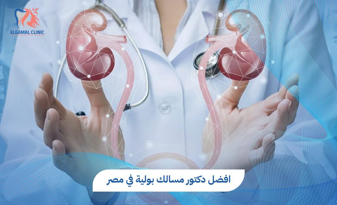 كيف تختار افضل دكتور مسالك بولية في مصر؟ دليلك الشامل للعلاج والتعافي